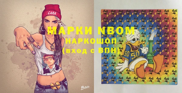 mix Туринск