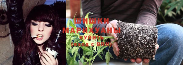 mix Туринск