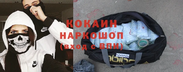 mix Туринск
