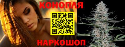 тгк Аргун