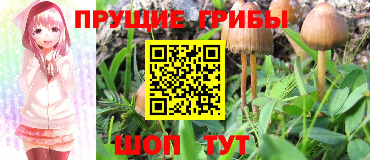 Галлюциногенные грибы Magic Shrooms Балаково