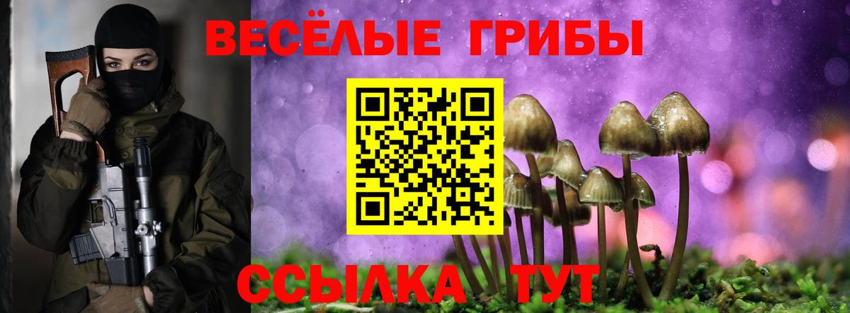 Псилоцибиновые грибы GOLDEN TEACHER  Вход с VPN  Псилоцибиновые грибы мицелий  Балаково 